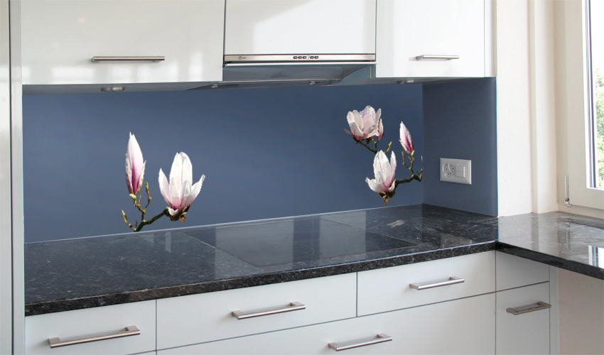 Weisse Küche mit heller Magnolie auf blauem Hintergrund - eine Einheit (Bild-Nr. 0200400)

