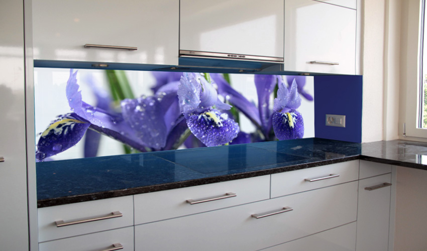moderne Küche mit blauer Iris - die Frische ist spürbar (Bild-Nr. 0200241)

