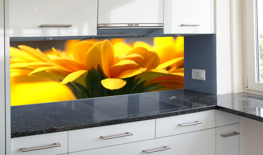 moderne Küche mit gelber Gerbrablüte (Bild-Nr. 0200388)

