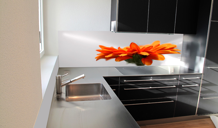 stylische Küche mit orangeroter Gerbra (Bild-Nr. 0200047)

