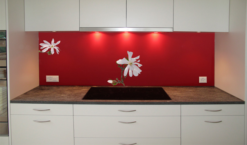moderne Küche mit weissen Magnolienblüten auf rotem Verlaufshintergrund (Bild-Nr. 0200467)

