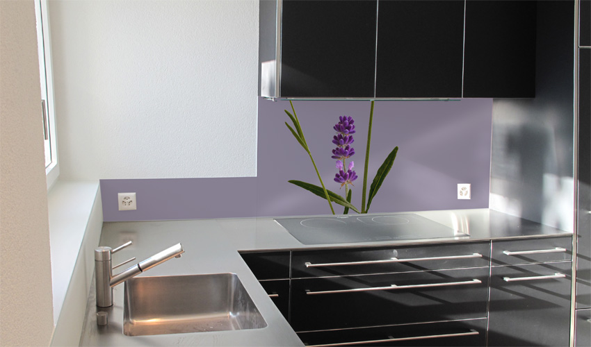 Stylische Küche mit einer Lavendelbluete auf hellviolettem Untergrund. Hier können Sie die Feinheiten der Blüte erst richtig entdecken. (Bild-Nr. 0200475)

