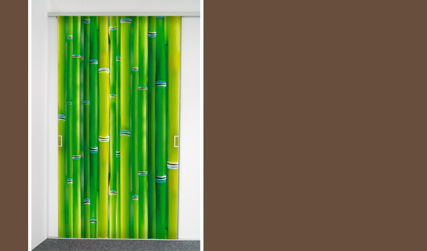 Bambus (Bild-Nr.03002)