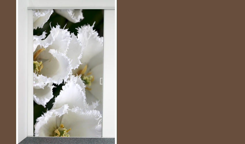 Fedrige Tulpen in weiss (Bild-Nr. 0200288)

